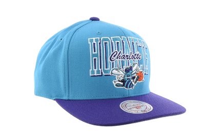 Charlotte Hornets Cap