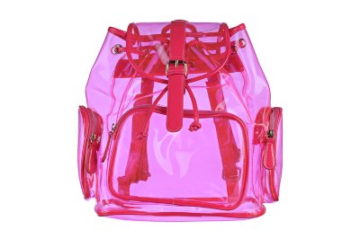 Transparent Backpack