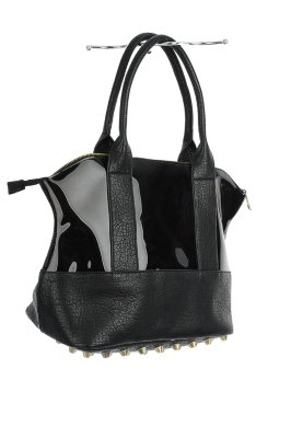 Transparent Satchel