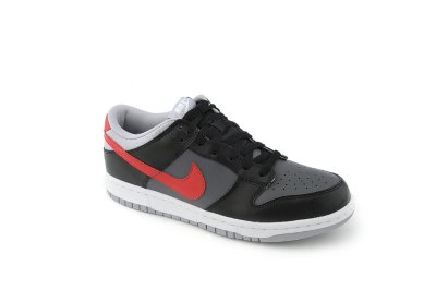 Mens Dunk Low