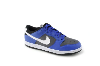 Mens Dunk Low