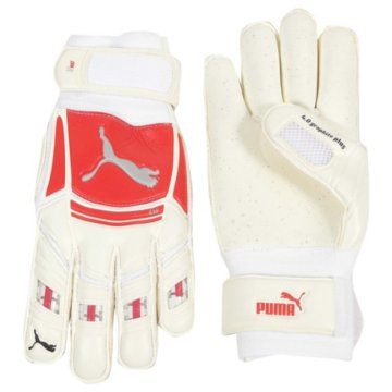 Puma V-Kat RC