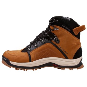 Salomon Switch