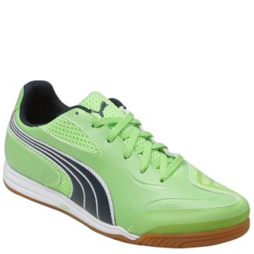 Puma v5.11 HG - 102363-01
