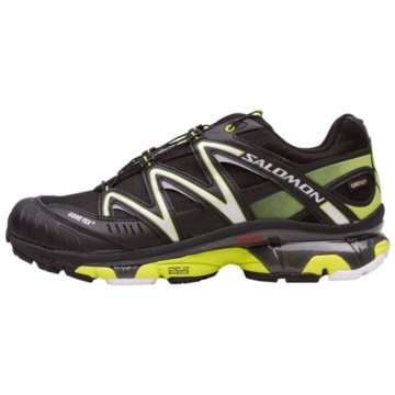  XT Wings 2 GTX