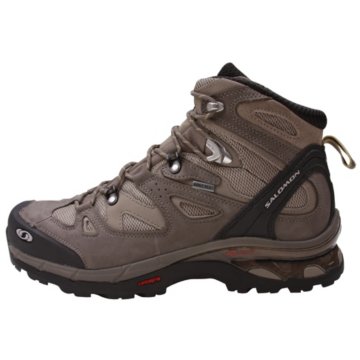 Salomon Comet 3D GTX