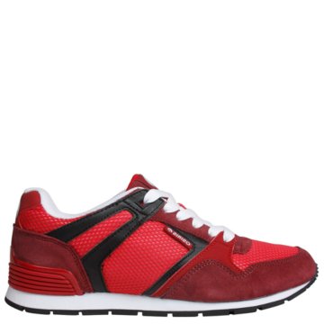Osiris Hayou LT - 1229-1135