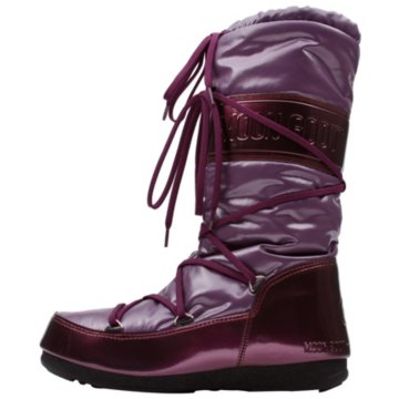 Tecnica Moon Boot W.E. Soft II