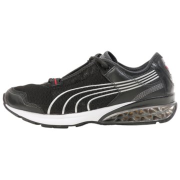 Puma Cell Cerae