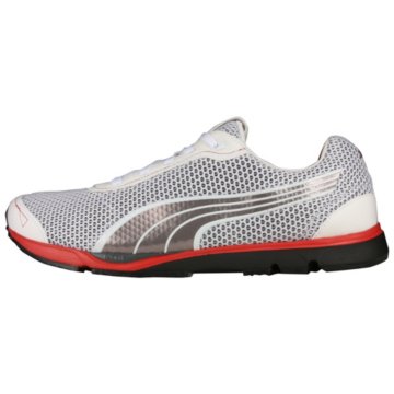 Puma Yugorun