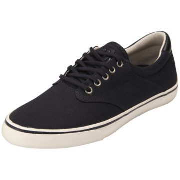 Gravis Filter