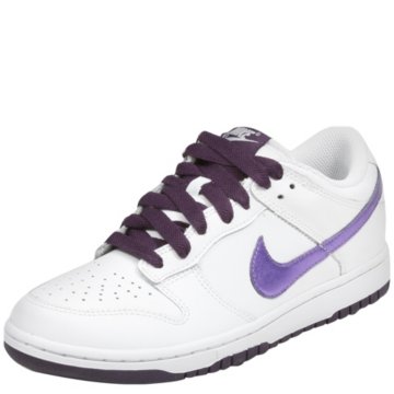 Nike Dunk - 317813-152