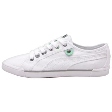 Puma Corsica