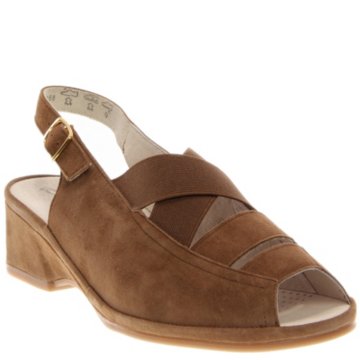Ara Rumor - 37034-12