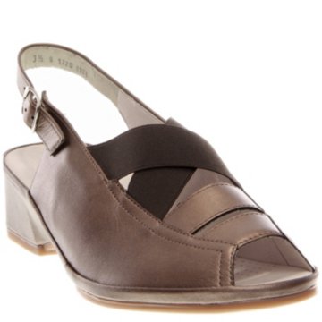 Ara Rumor - 37034-85