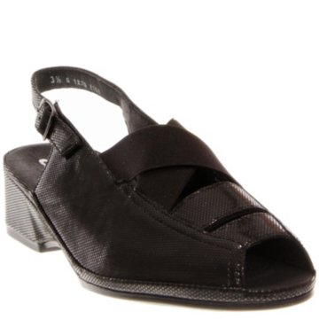 Ara Rumor - 37034-91