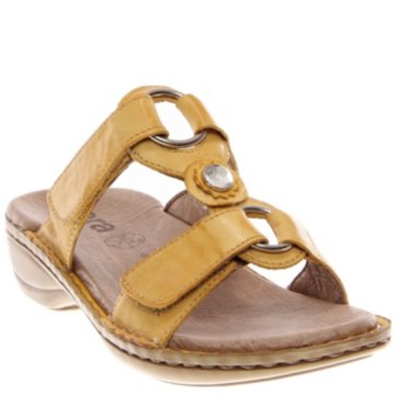 Ara Henrietta - 37273-85