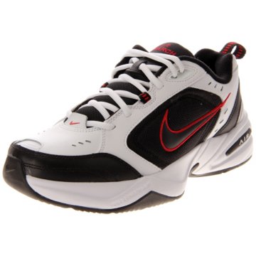 Nike Air Monarch IV