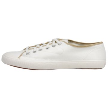  T56 Canvas W