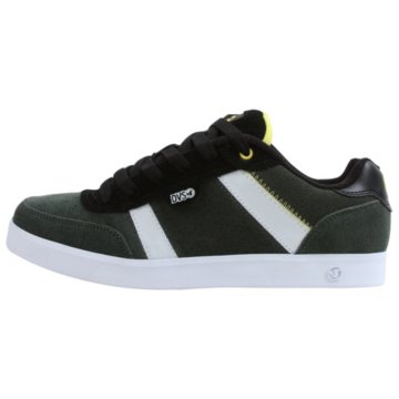 DVS Coen