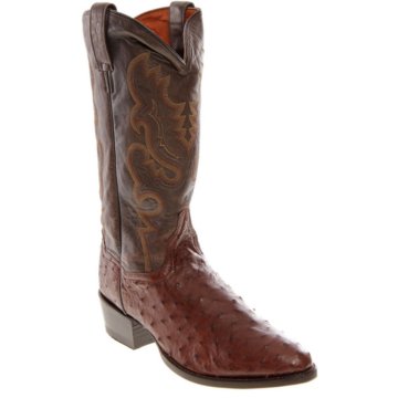 Dan Post Boots Tempe - DP2328