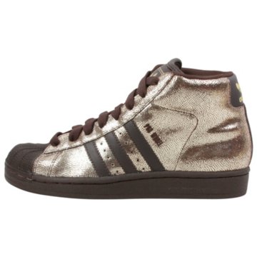  Pro Model Premium