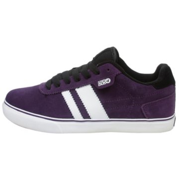 DVS Milan 2 CT