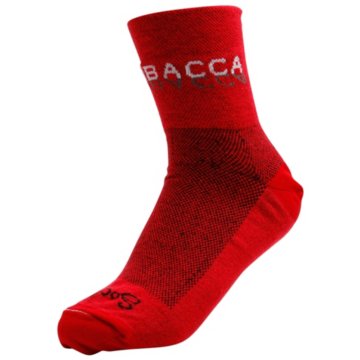 SHOEBACCA Cool Comfort by Sock Guy 6 Pair Pack