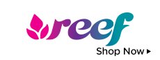 New Arrivals from Reef