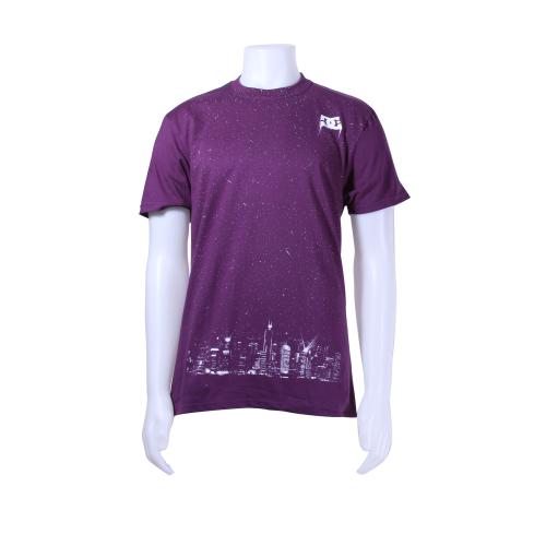 DC Schematics Purple