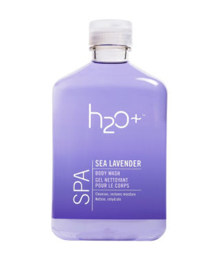 UPC 764505303096 product image for H2O Sea Lavender Body Wash - - H2O | upcitemdb.com