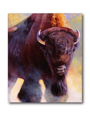 Courtside Market Buffalo Canvas Wall Art Stage Stores