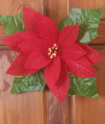 Door Poinsettia