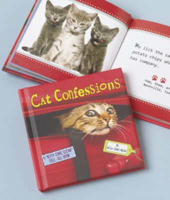 Cat Confessions Book