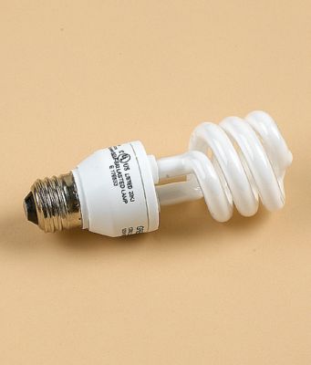 Spiral Light Bulb