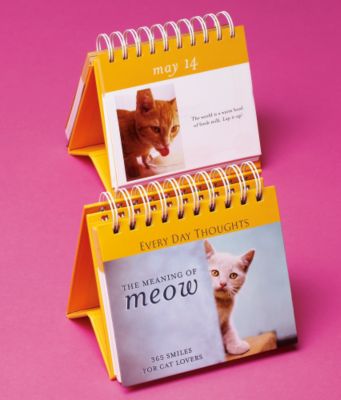 The Meaning of Meow Desk Calendar