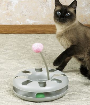 Two-In-One Cat Toy