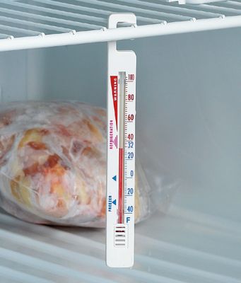 Fridge/Freezer Thermometer