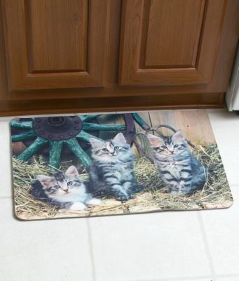 Country Kittens Mat