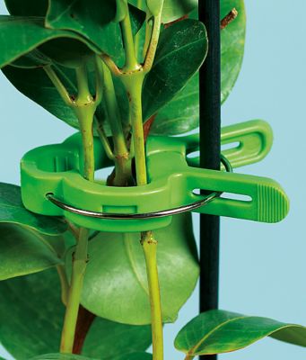 Flower & Vine Clips - Pkg. of 15
