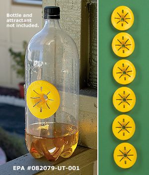 Wasp Traps - Set of 6