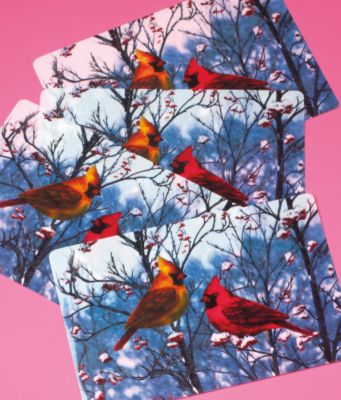 Winter Cardinal Place Mats - Set of 4