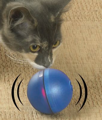 magic ball for pets