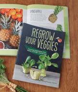 Regrow Your Veggies Book