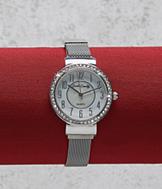 Sarah Coventry Magnetic Mesh Watch