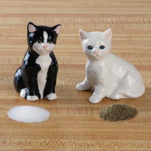 Ceramic Kitty Salt and Pepper Shaker Set
