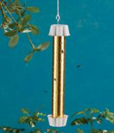 Catchmaster Gold Stick Fly Trap - 4-Pack