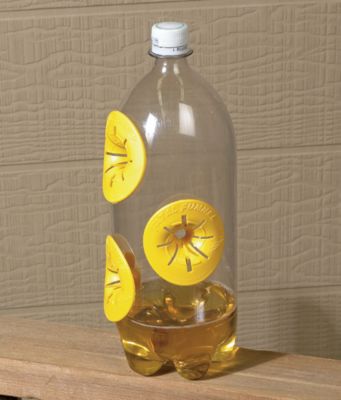 Funnel Design Chemical Free Wasp and Hornet Traps