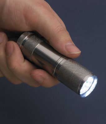 Palm-Size Flashlight with 9 Brilliant LEDs