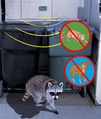 Dog, Cat and Raccoon Repelling Device